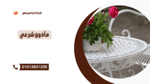 ماذون شرعي في التجمع الرابع