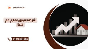 شركة تسويق عقاري في طنطا