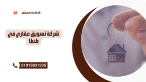 تليفونات سمسار عقارات طنطا