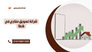 سماسرة عقارات طنطا