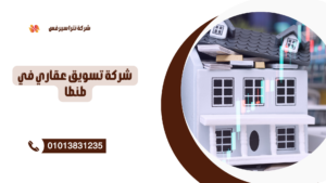 سمسار عقارات في طنطا