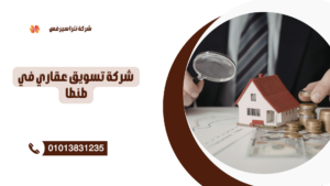 سمسار عقارات طنطا