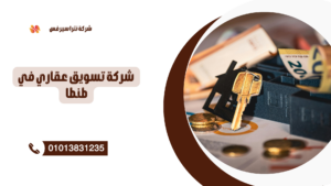 سمسار محلات طنطا